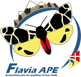 Association Flavia APE